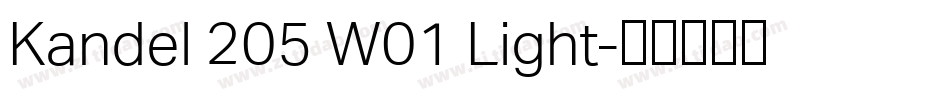 Kandel 205 W01 Light字体转换